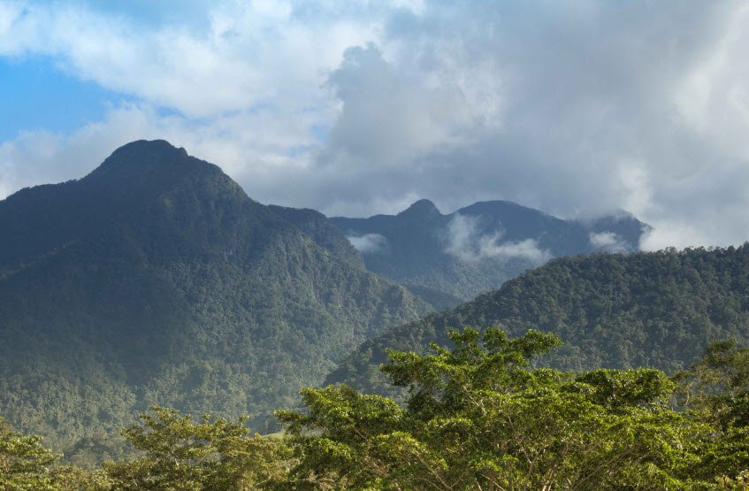 Pico Bonito National Park, Near La Ceiba, Atlántida, Honduras